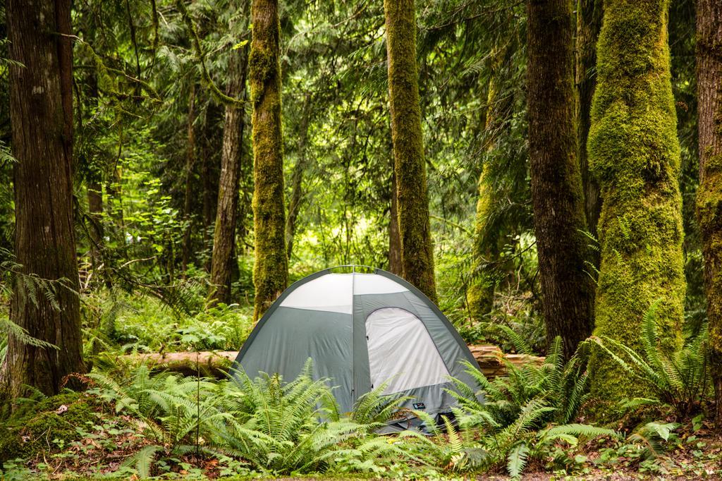 Mount Hood Village Yurt 1 Luaran gambar